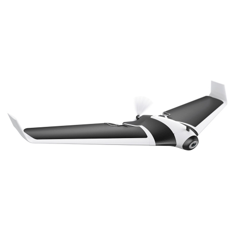 Parrot Disco