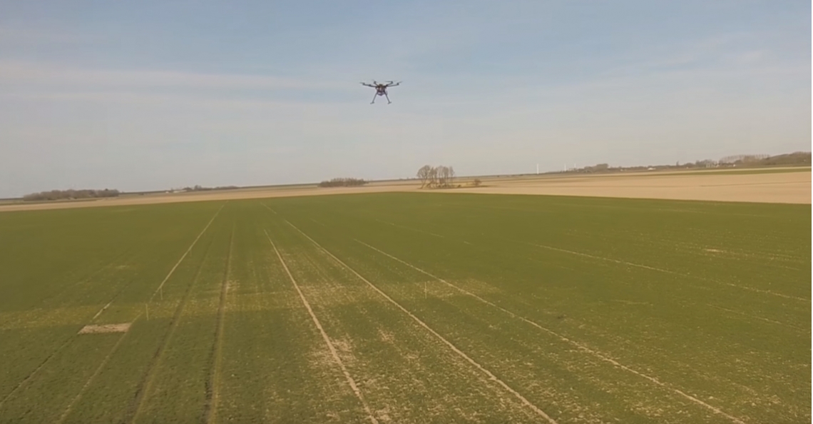 Pootaardappelen schieten de grond uit door drone