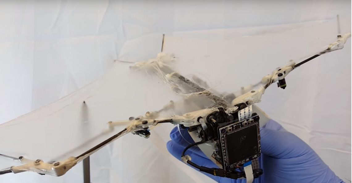 Bezorgen deze robot vleermuizen straks pakketten?