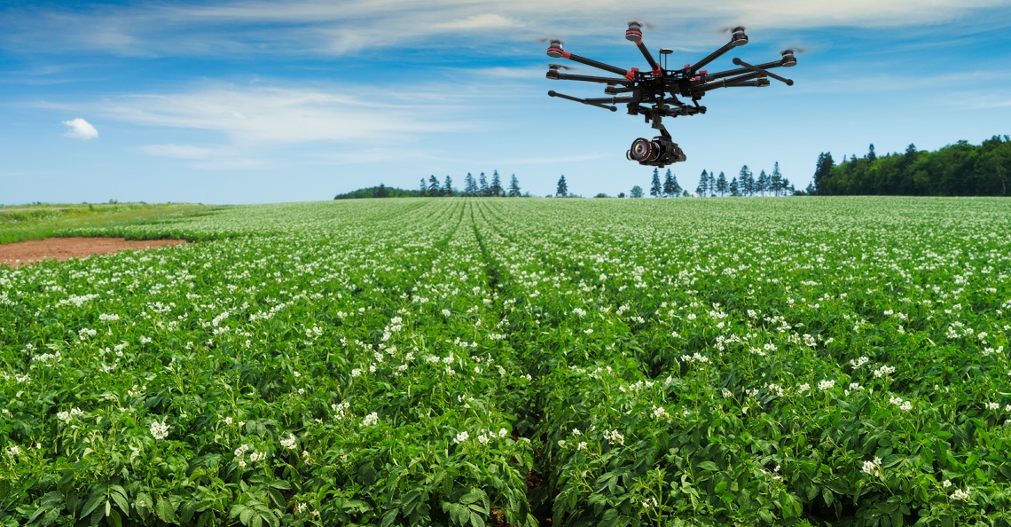 Drones traceren virus in pootaardappelen