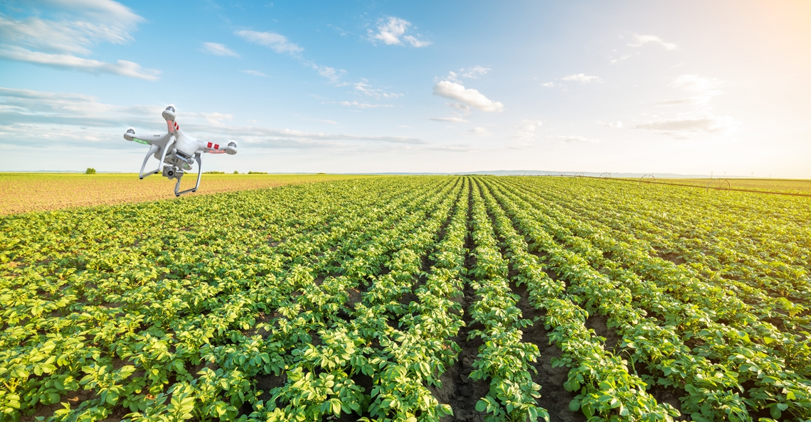 Onderzoekers werken aan drone die automatisch aardappelen telt