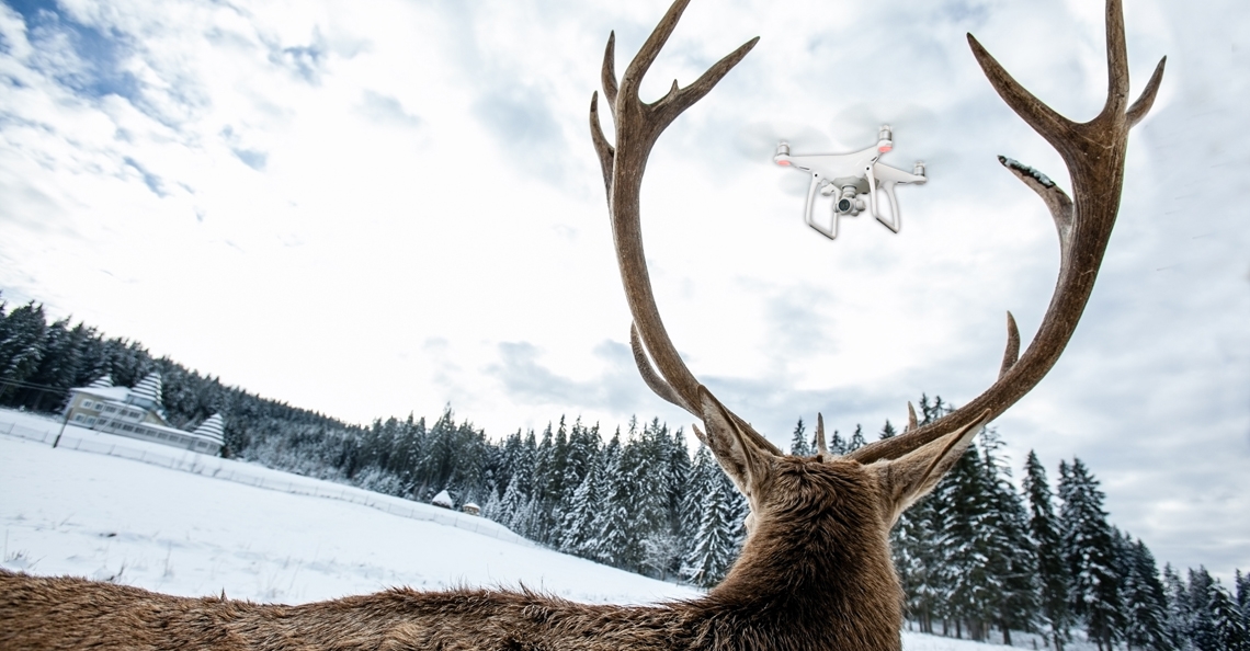 1500 elanden slaan op hol door drone