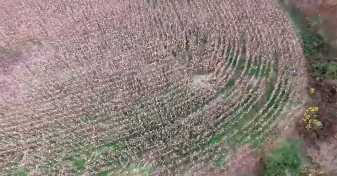 Politie drone in North Carolina vindt vermiste 81-jarige vrouw