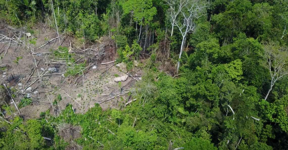 Dronebeelden tonen geïsoleerde stam in Brazlië