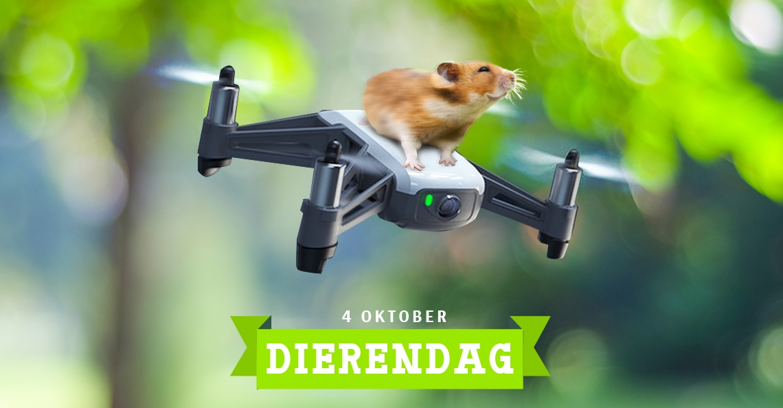 Dierendag: drones en dieren
