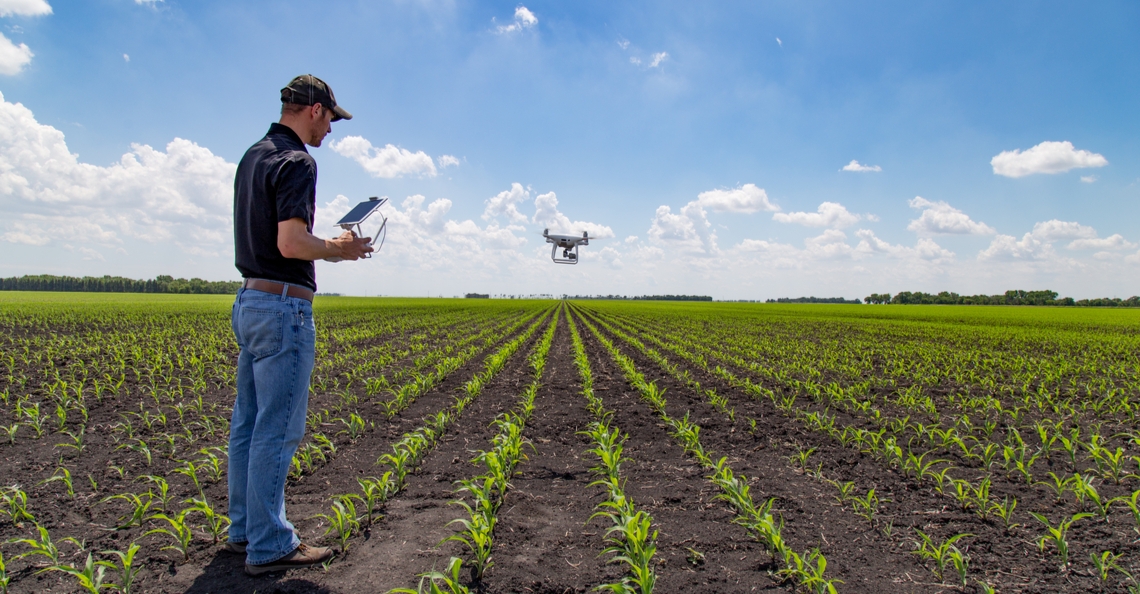 Waterschap Vechtstromen zet drones in voor controle pesticidengebruik
