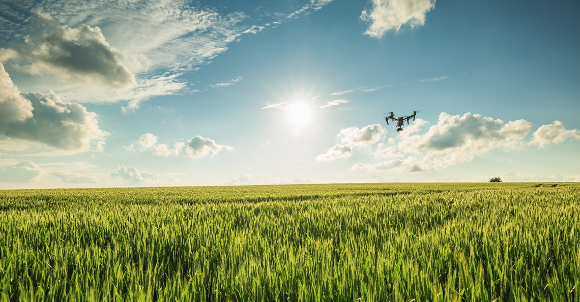 Limburgse studenten gebruiken drones om wildschade in kaart te brengen