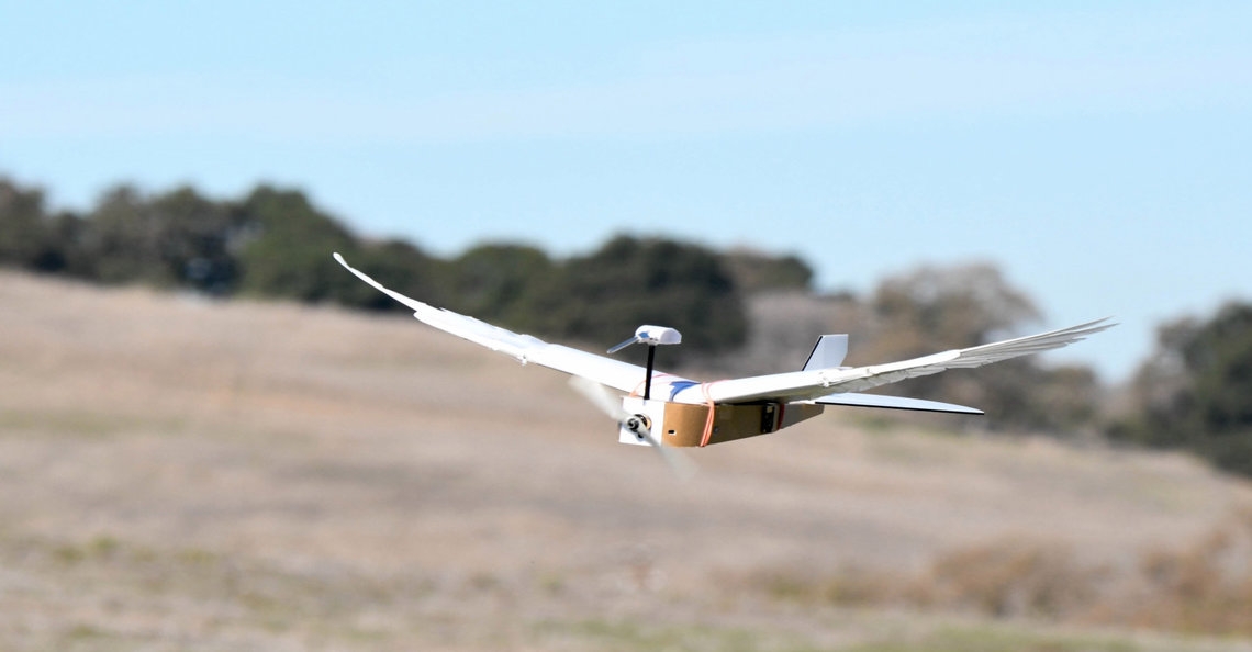 Onderzoekers ontwikkelen vogel-achtige drone die vleugels kan buigen