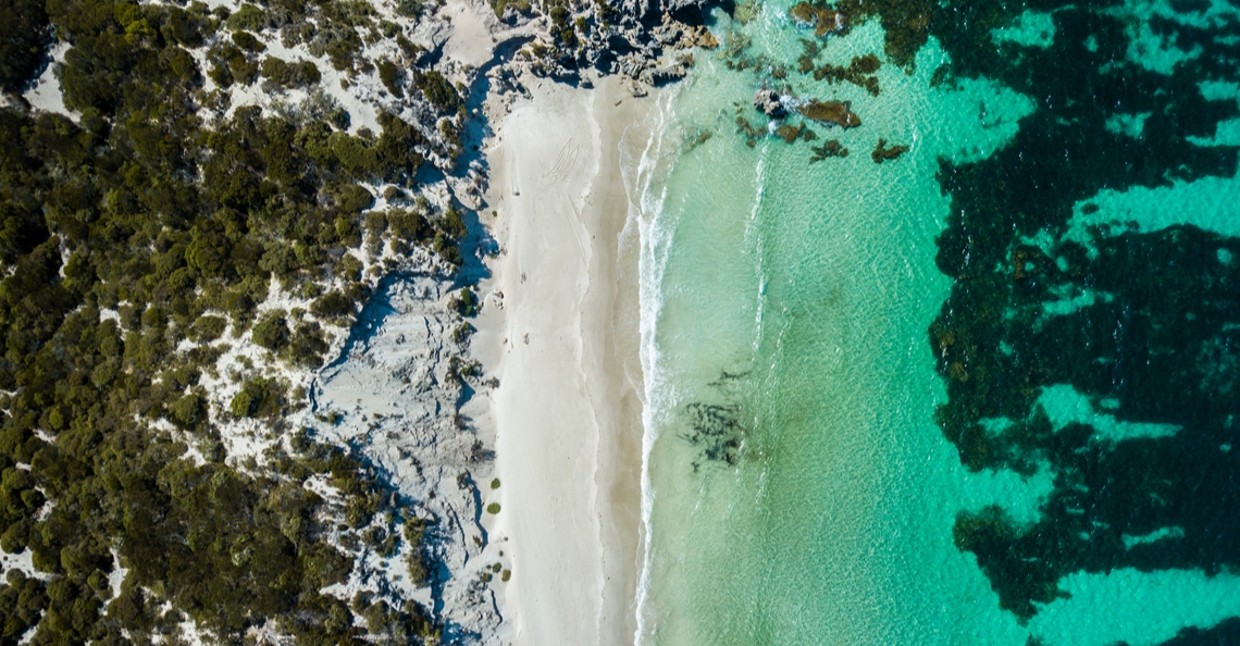 Drones zoeken en redden wilde dieren op Kangaroo Island