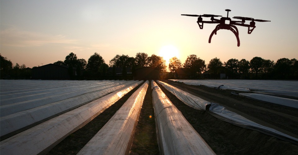 Eerste asperges geleverd via drone