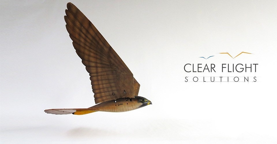 clear flight solutions robird
