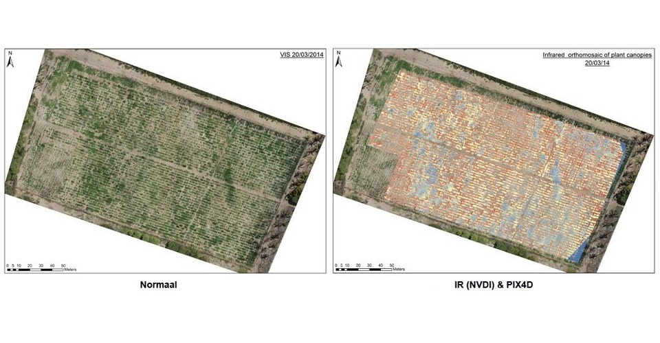 UAVDIRECT introduceert Inspire 1 met NDVI camera voor agrarische toepassingen