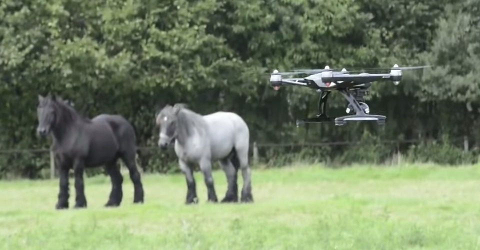 Burgerwacht met drone op zoek naar paardenbeulen