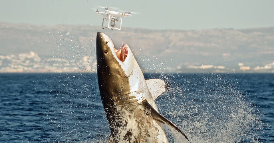 Strandwachters spotten haaien met DJI Phantom 3 drone