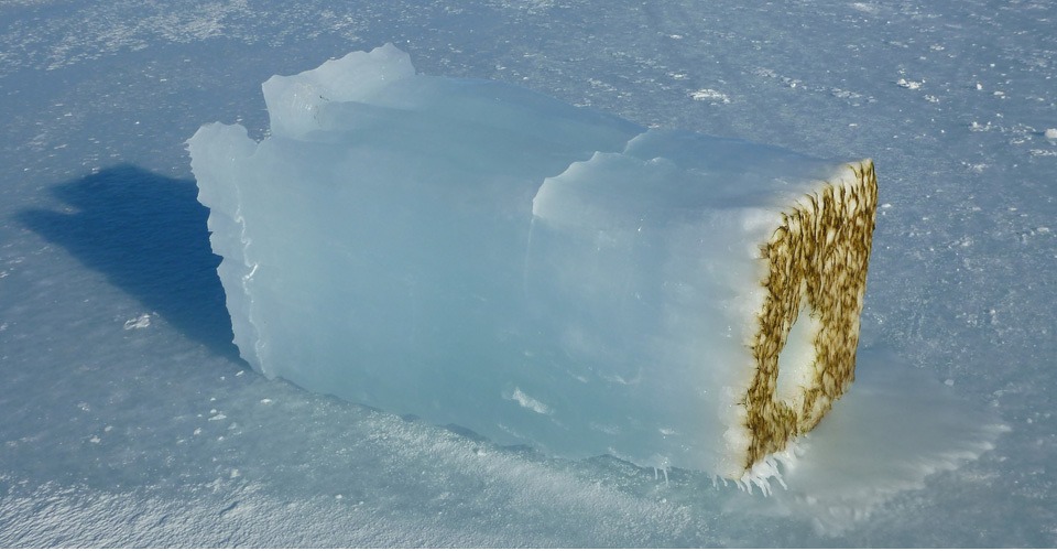 Drones meten licht onder ijsvlakte van Antarctica