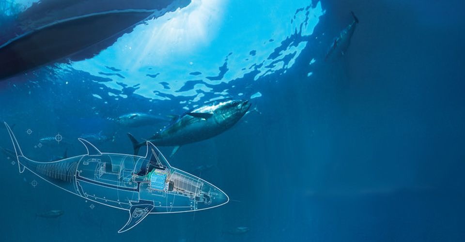 Amerikaanse marine onthult onderwaterdrone Silent Nemo