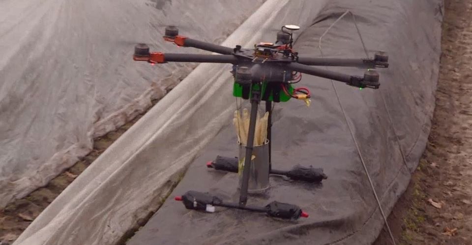 Bestuurder asperge-drone komt er vanaf met waarschuwing