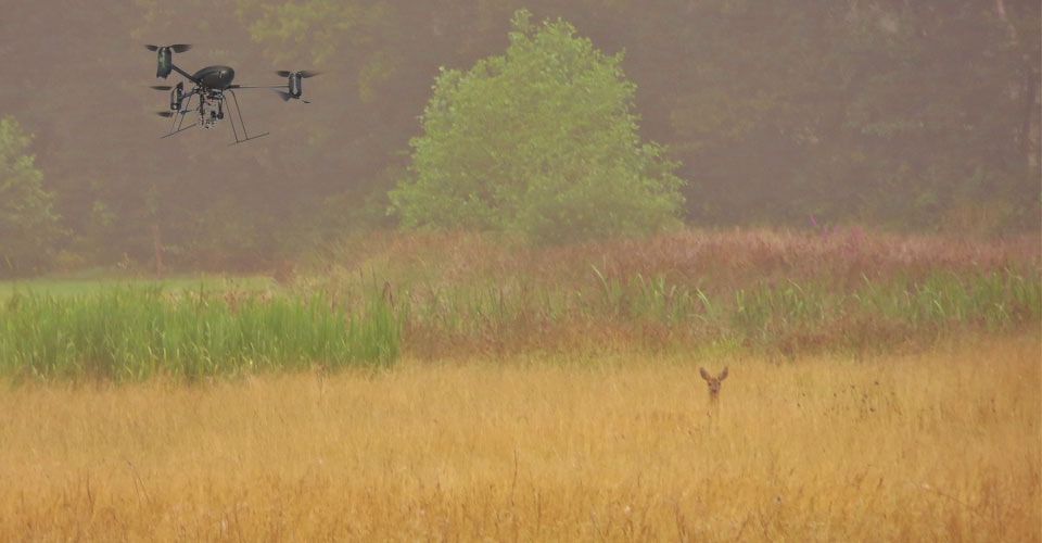 Drone moet verscholen reekalfjes in toekomst redden