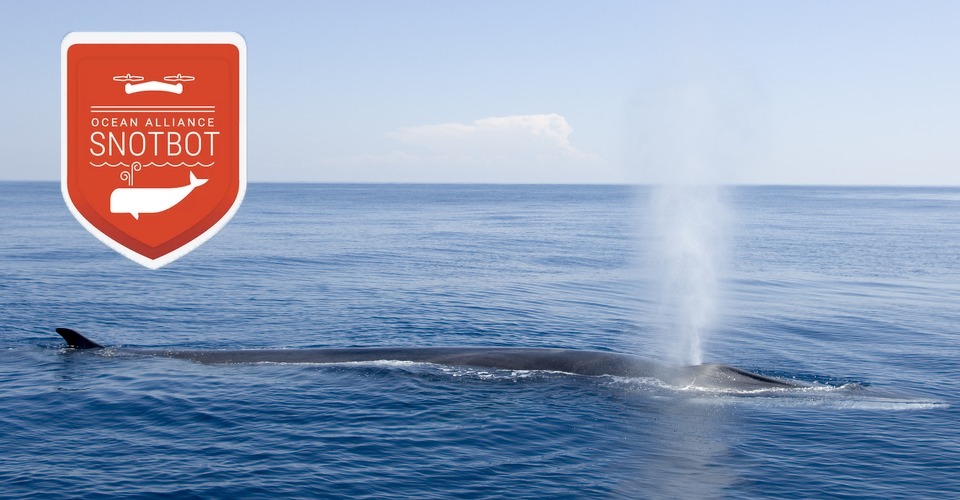 Snotbot ingezet voor walvis onderzoek