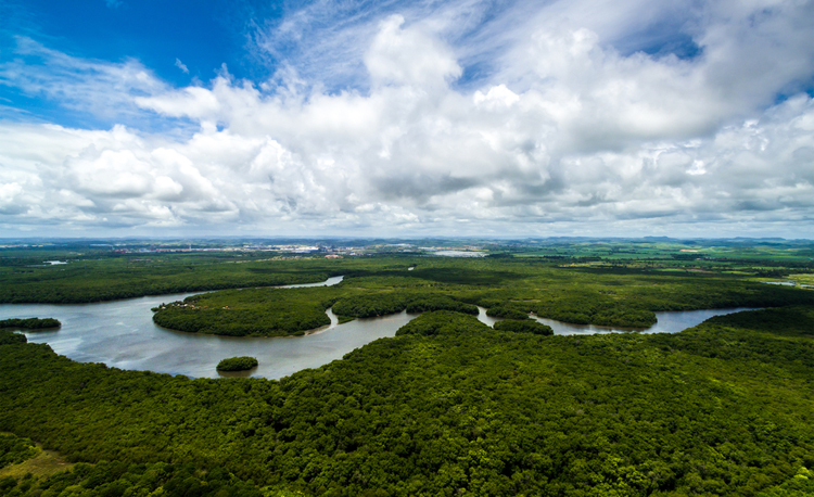 Drones de nieuwe boswachters van het Amazonegebied