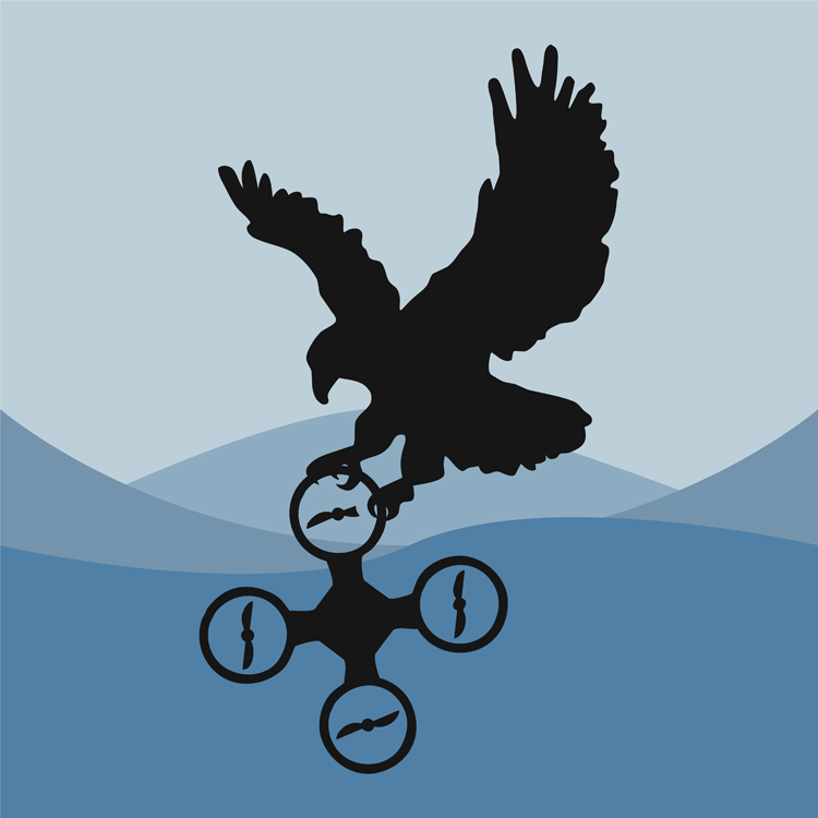 Frankrijk zet ook roofvogels in tegen ongewenste drones