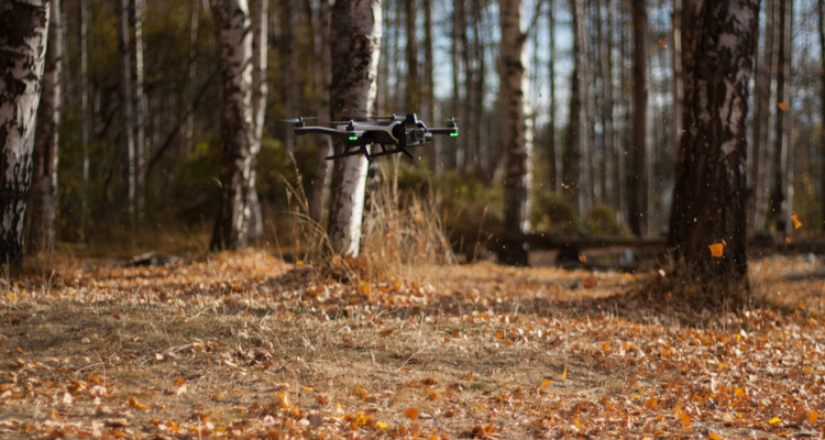 Friese vogelwacht zet drone in om nesten van weidevogels te vinden Friese vogelwacht zet drone in om nesten van weidevogels te vinden