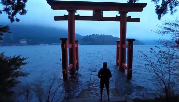 Max-seigal-seagullaerial-615x350