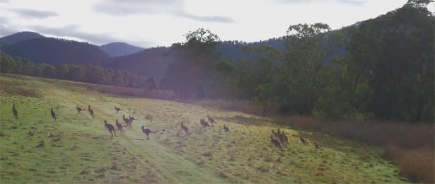 australia-drones-dji-s1000