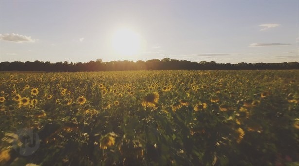 drone-aerial-reel-myaircam-vimeo-video-2016