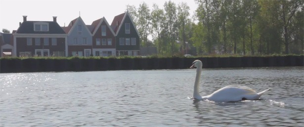 landsmeer_drone_marco_vet_boomerang_producties_seizoenen