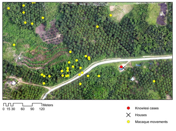 legenda_drone_makaken_malaria_muggen_615