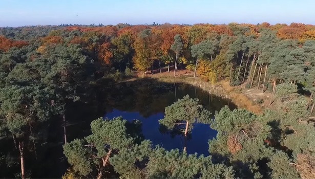 marketing-drones-herfst-autumn-615x350