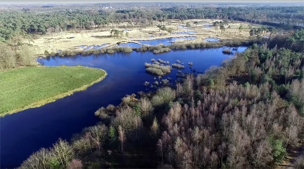 mastbos-breda-gefilmd-door-dji-phantom-3-professional-lars-scheve-quadcopter-drone-2016