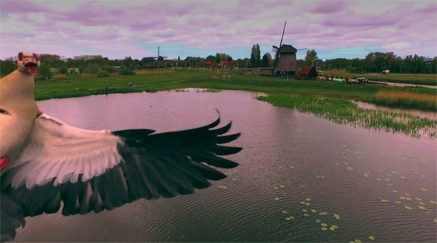 nijlgans-drone-video-crash-quadcopter-dji-phantom-drone-2015