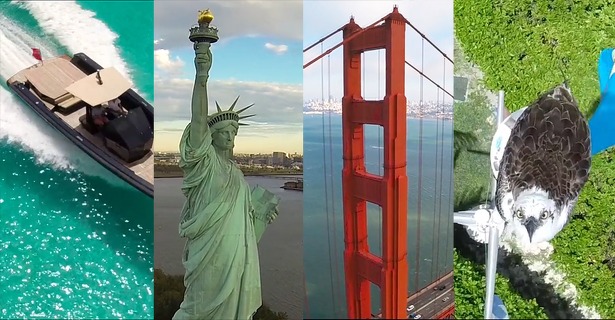 team_blacksheep_compilatie_2015