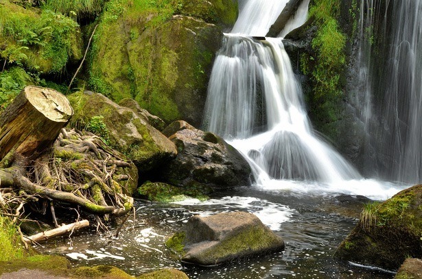 waterval-black-forest-national-park-duitsland